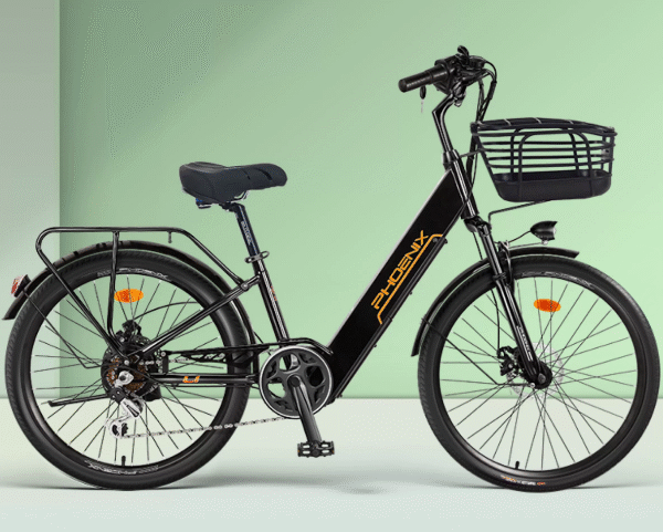 Electric bicycle with removable and replaceable battery